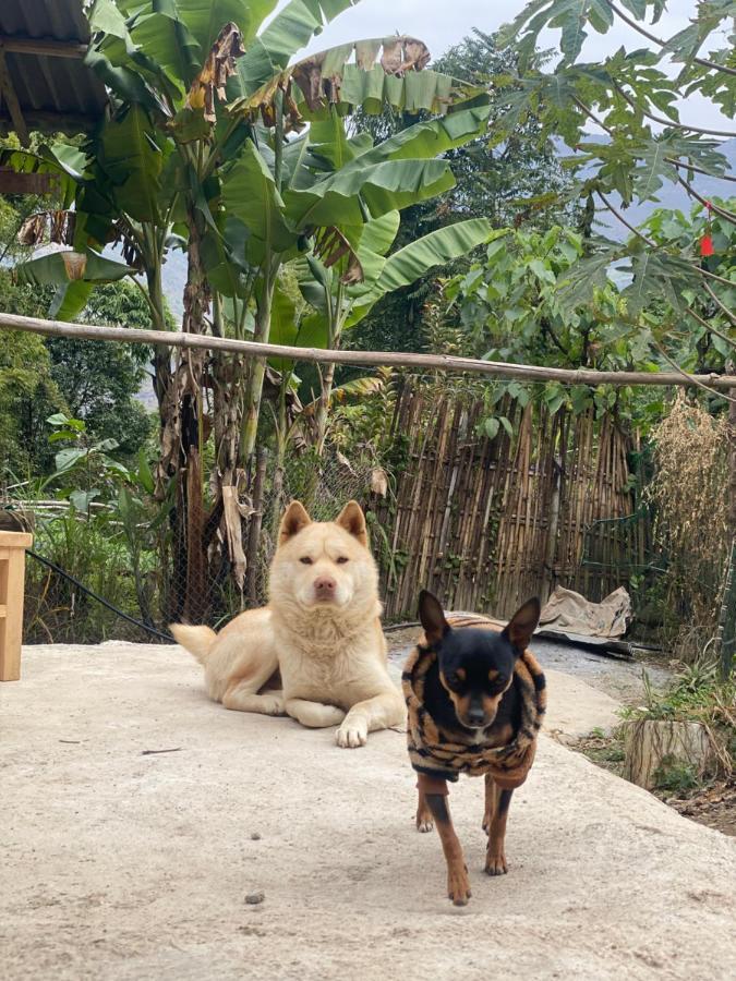 Homie House Thien Huong - Traditional Home Đồng Văn Ngoại thất bức ảnh